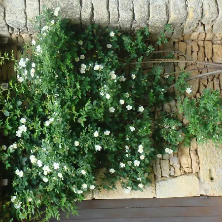 Holiday home Hameau De La Vidalie Thonac